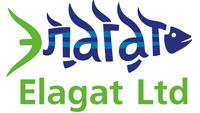 Логотип компании «Элагат»